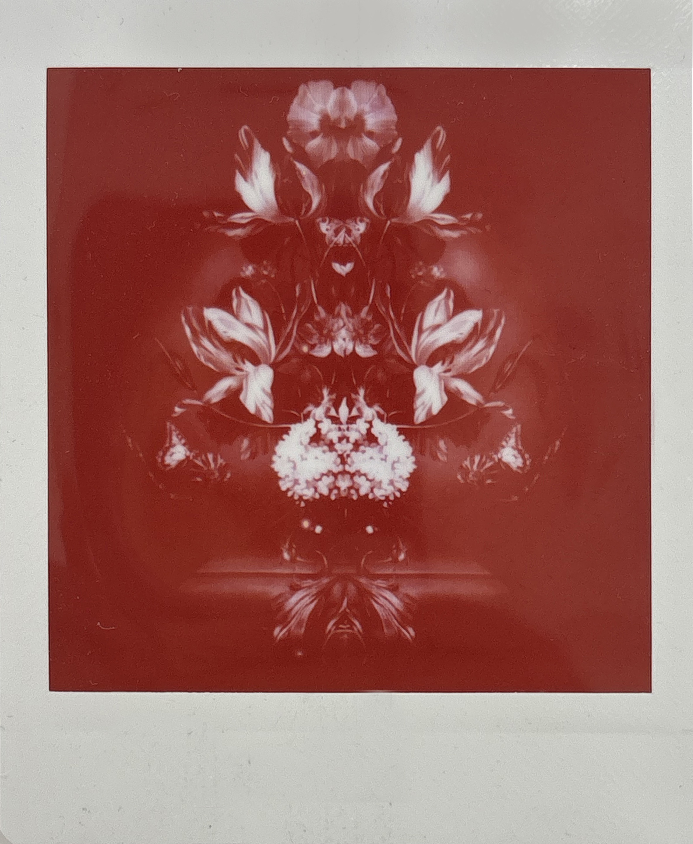 La noche sexual, polaroids. Instalación de 200 obras