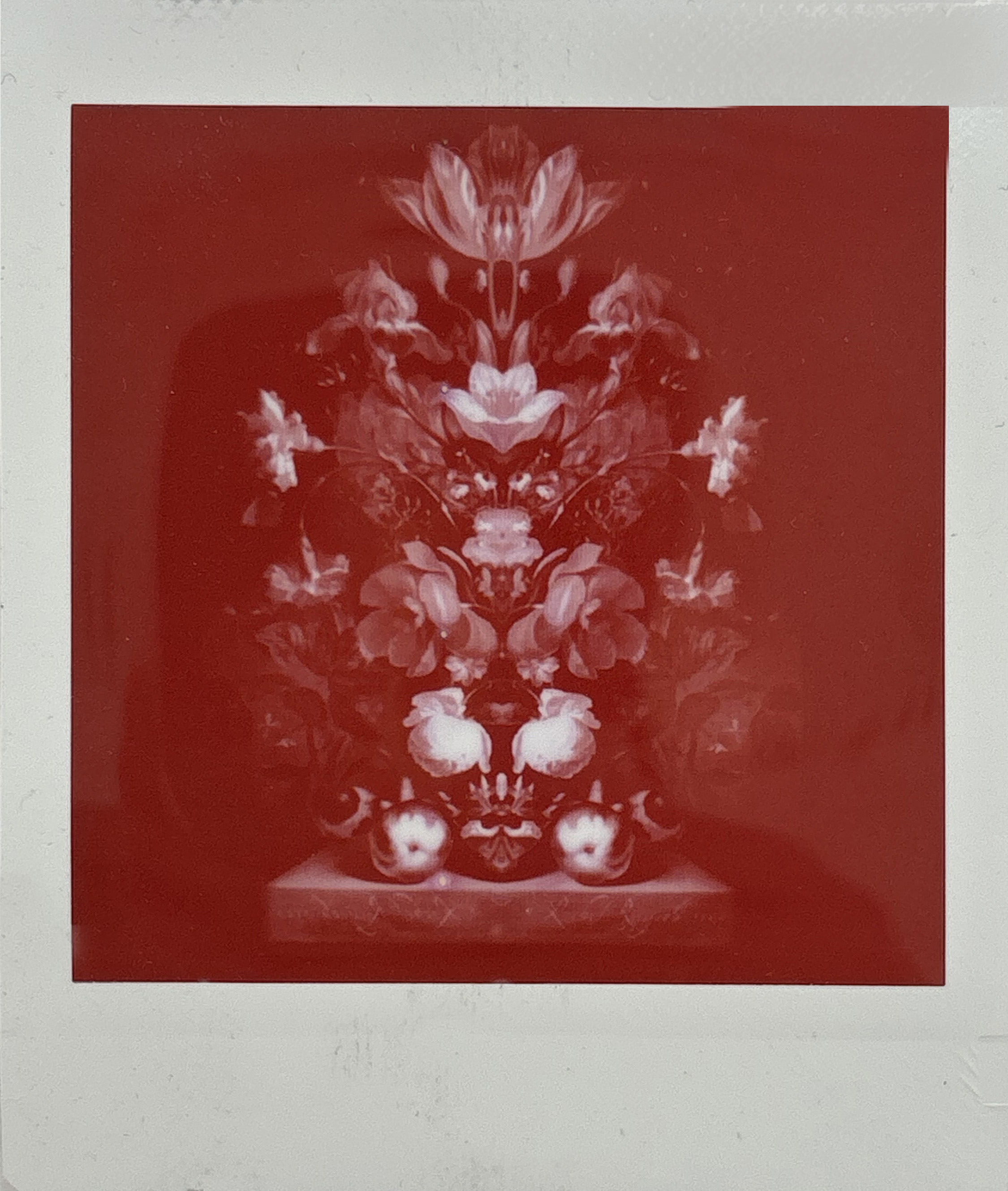 La noche sexual, polaroids. Instalación de 200 obras