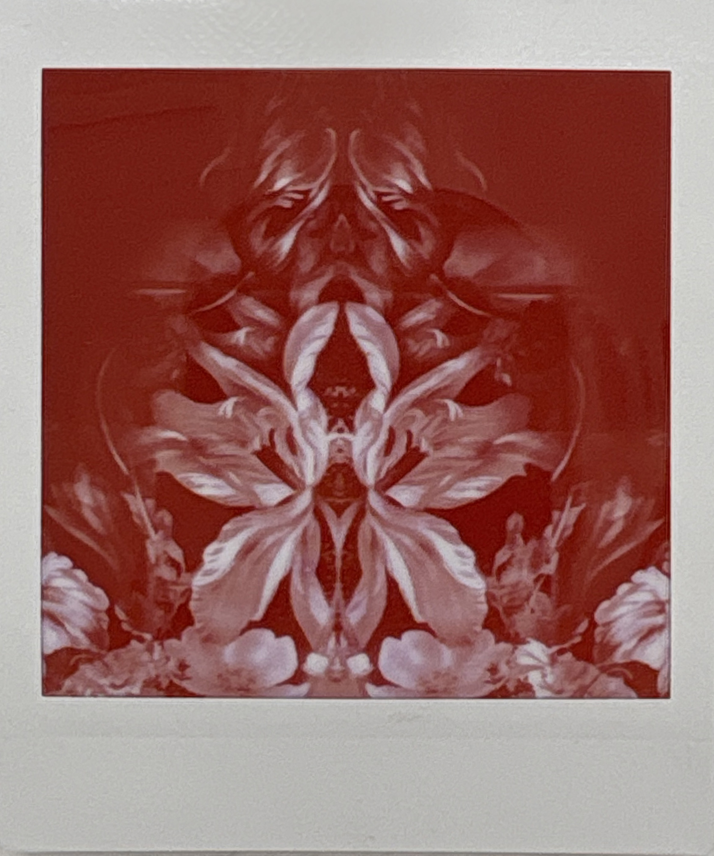 La noche sexual, polaroids. Instalación de 200 obras