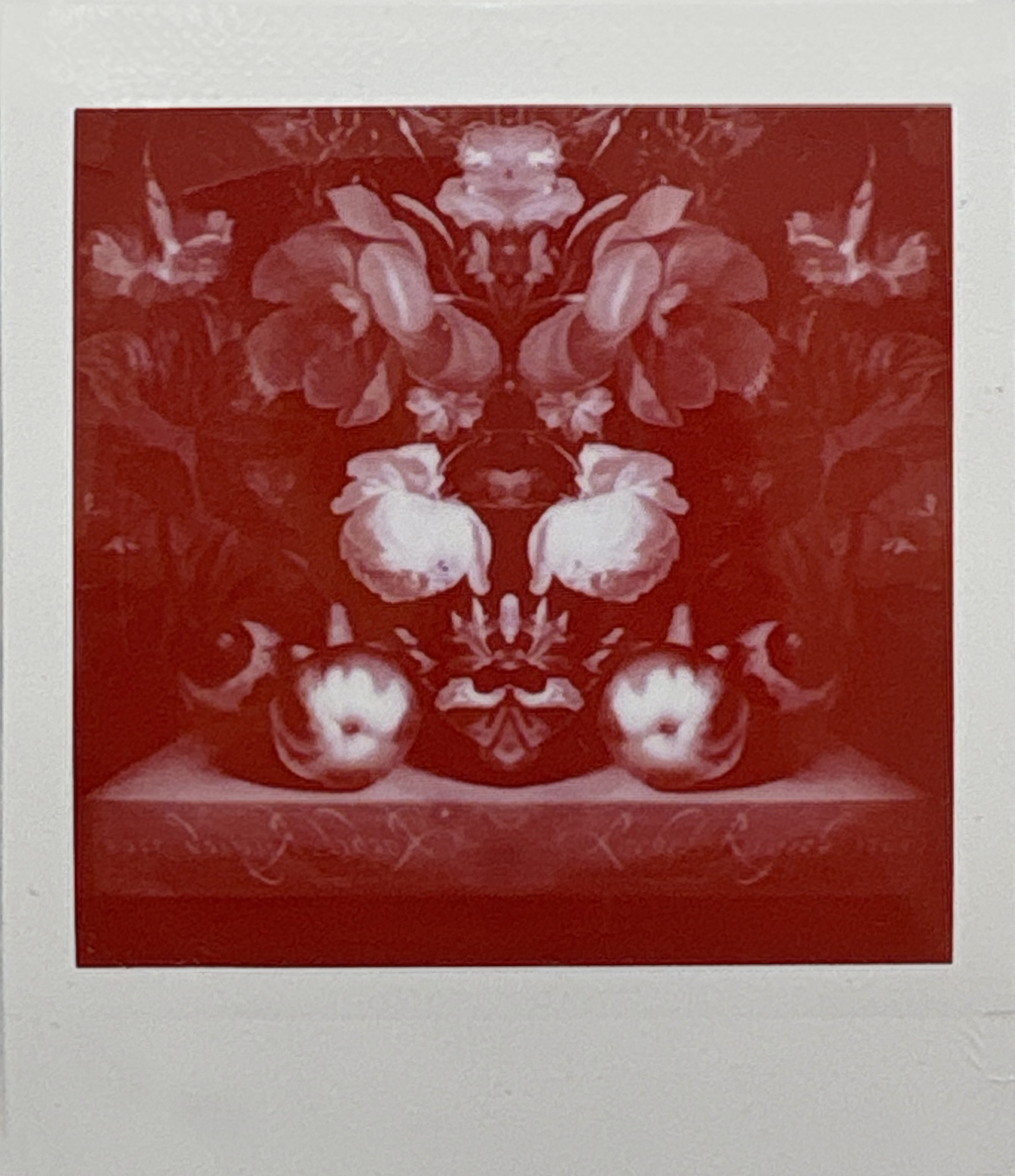 La noche sexual, polaroids. Instalación de 200 obras