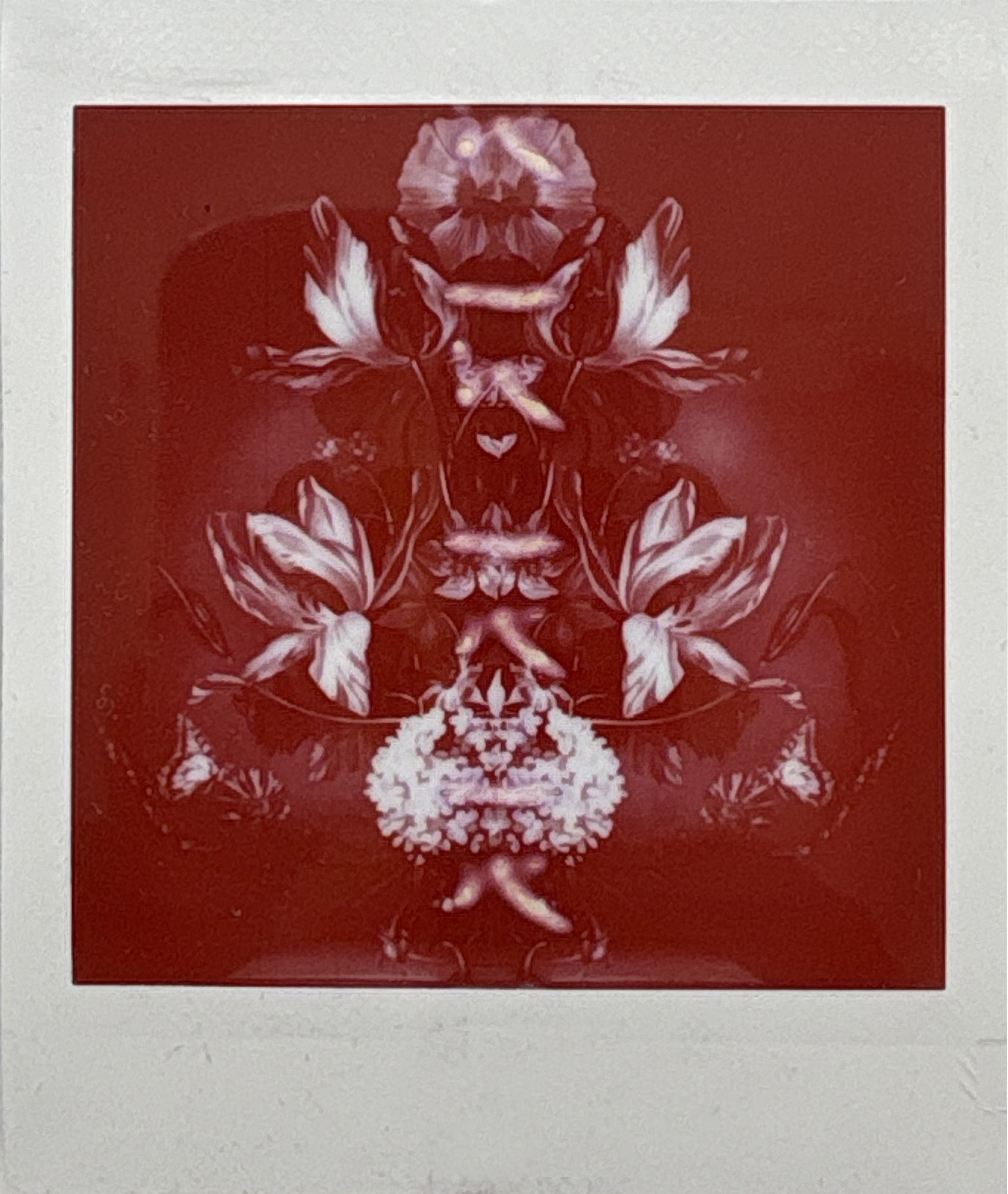 La noche sexual, polaroids. Instalación de 200 obras