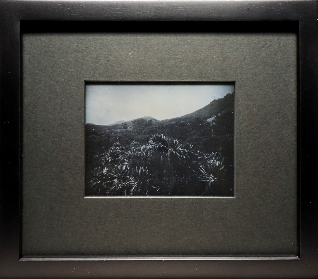 Silencio 19