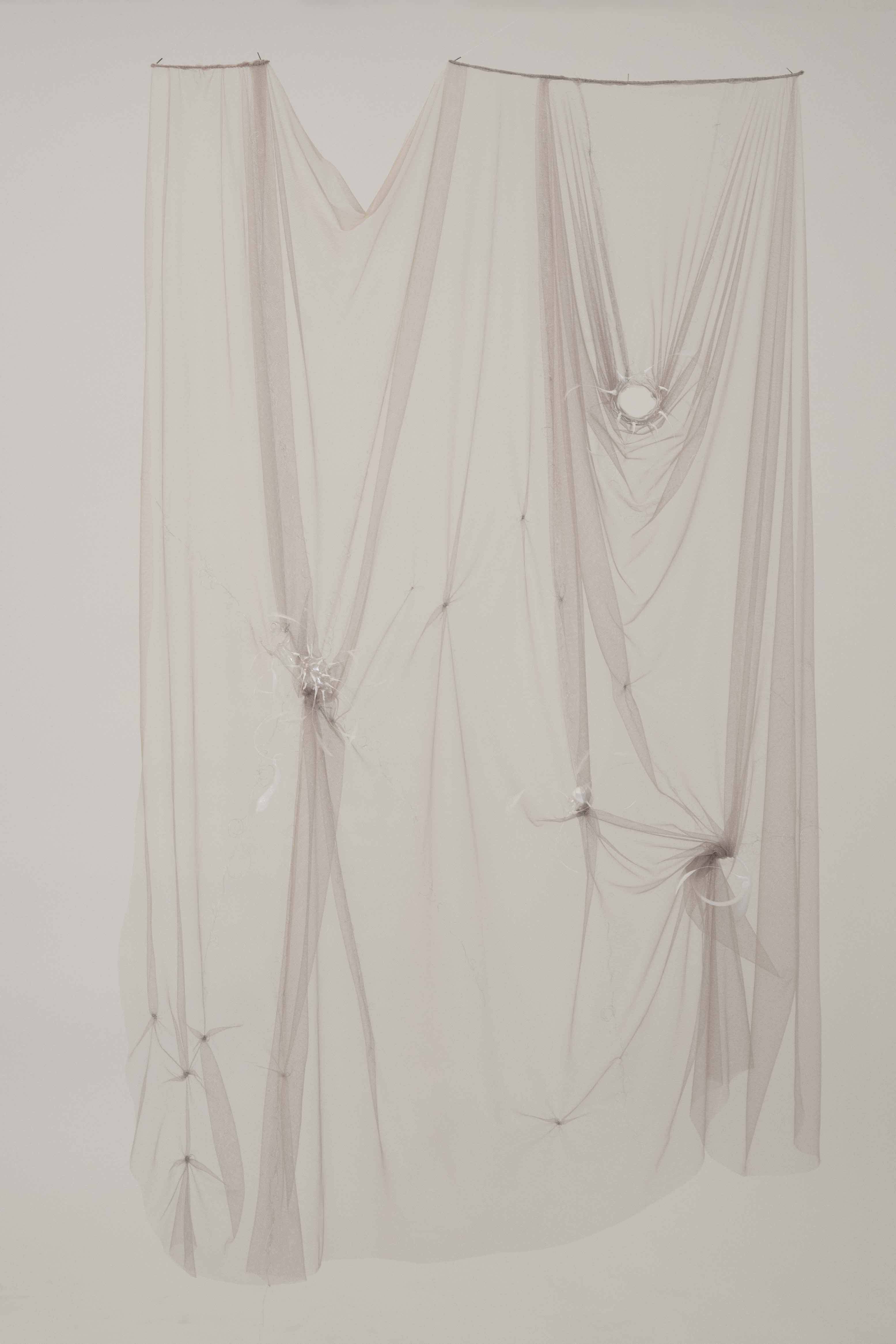 Velum Corporis