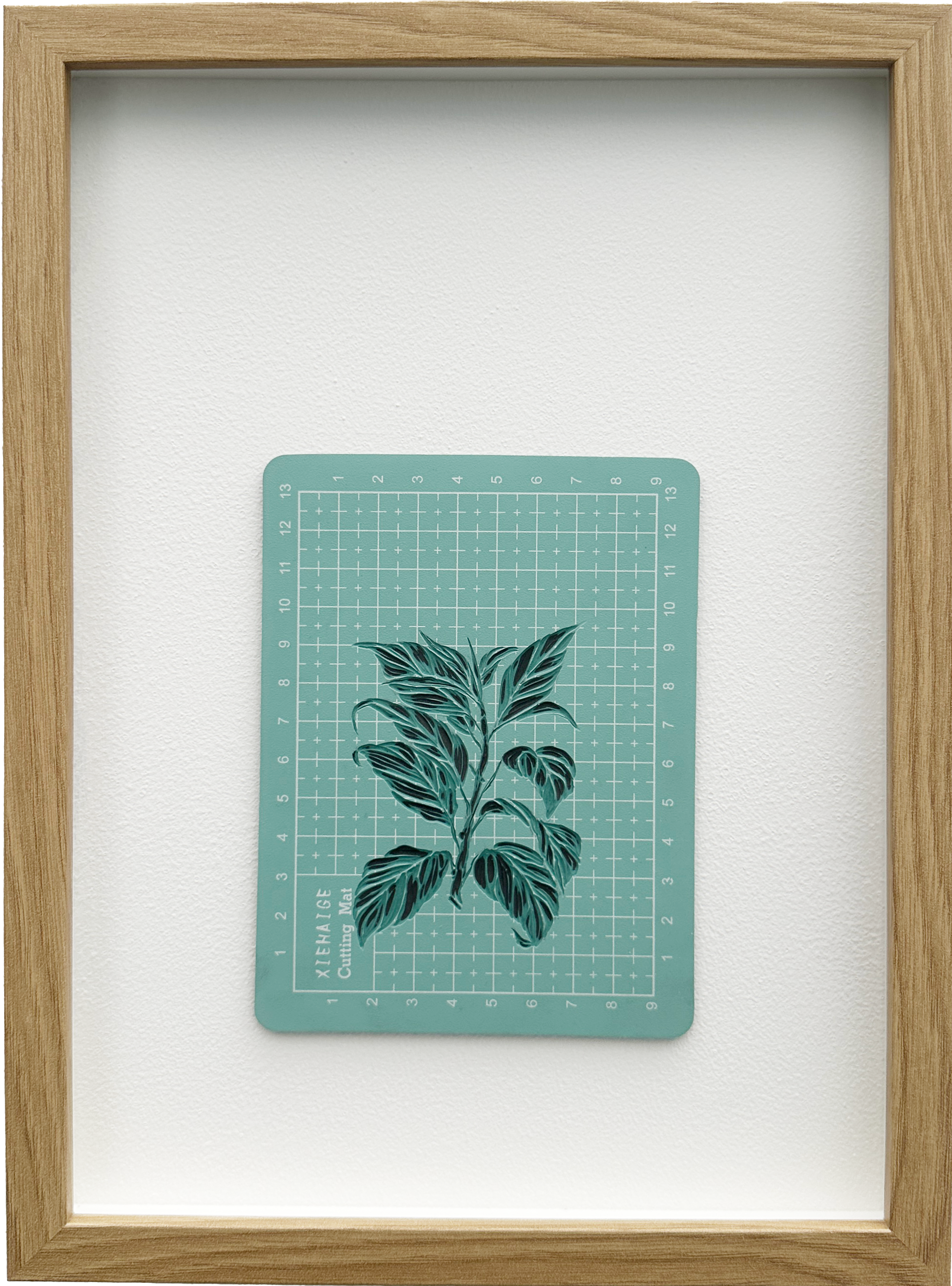 Ficus Americana 2