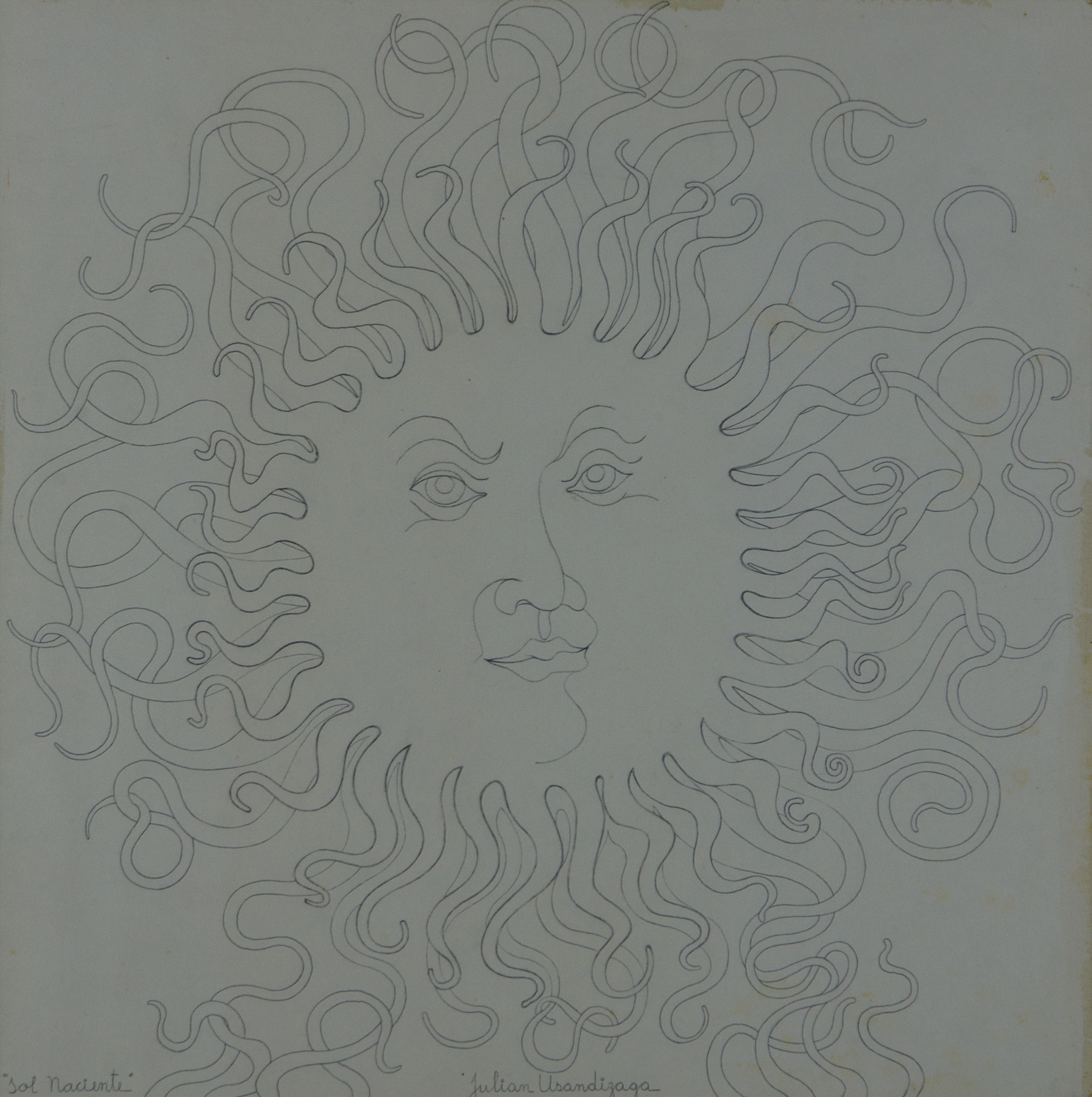 Sol naciente