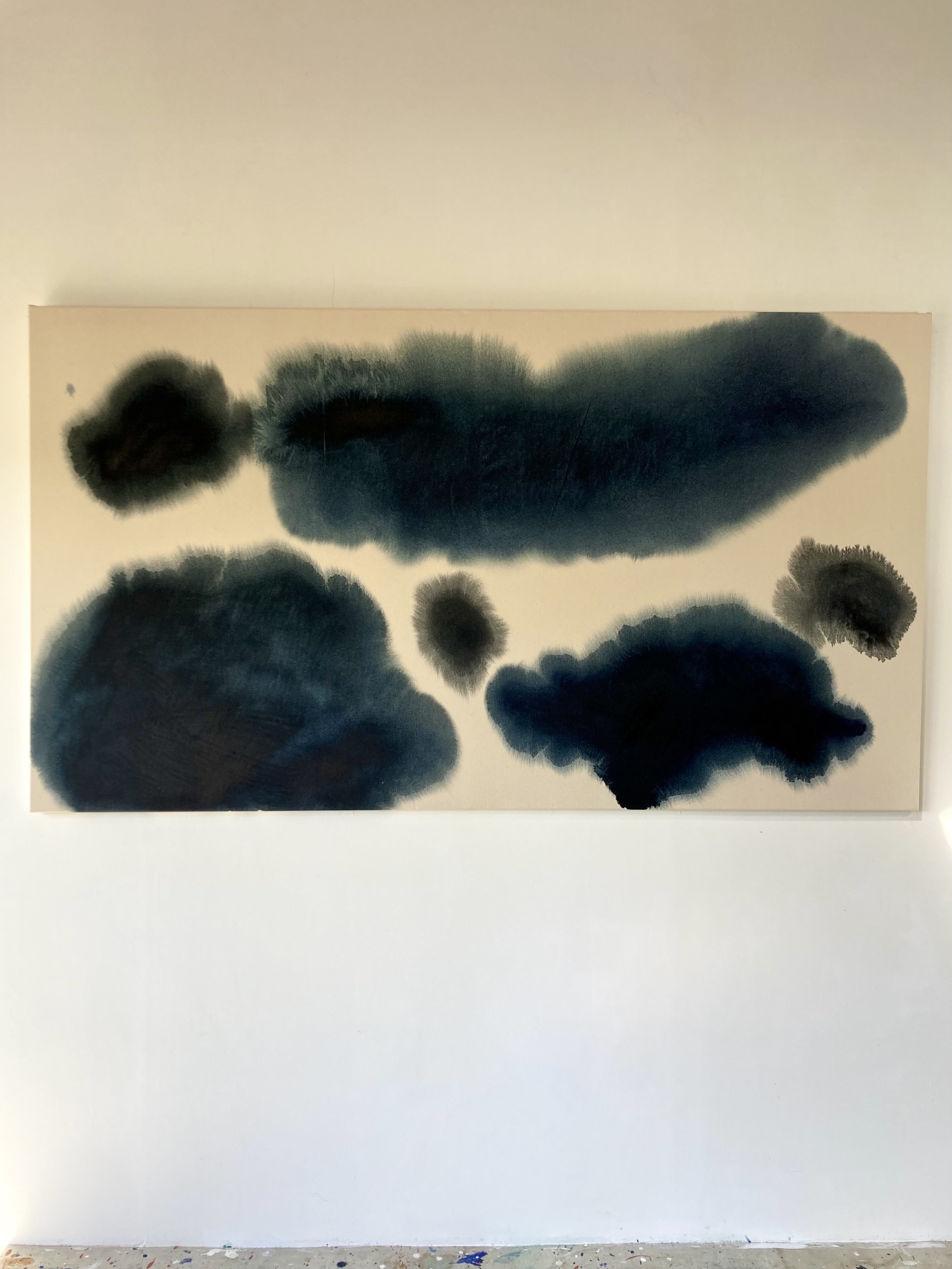 Black Prusse H