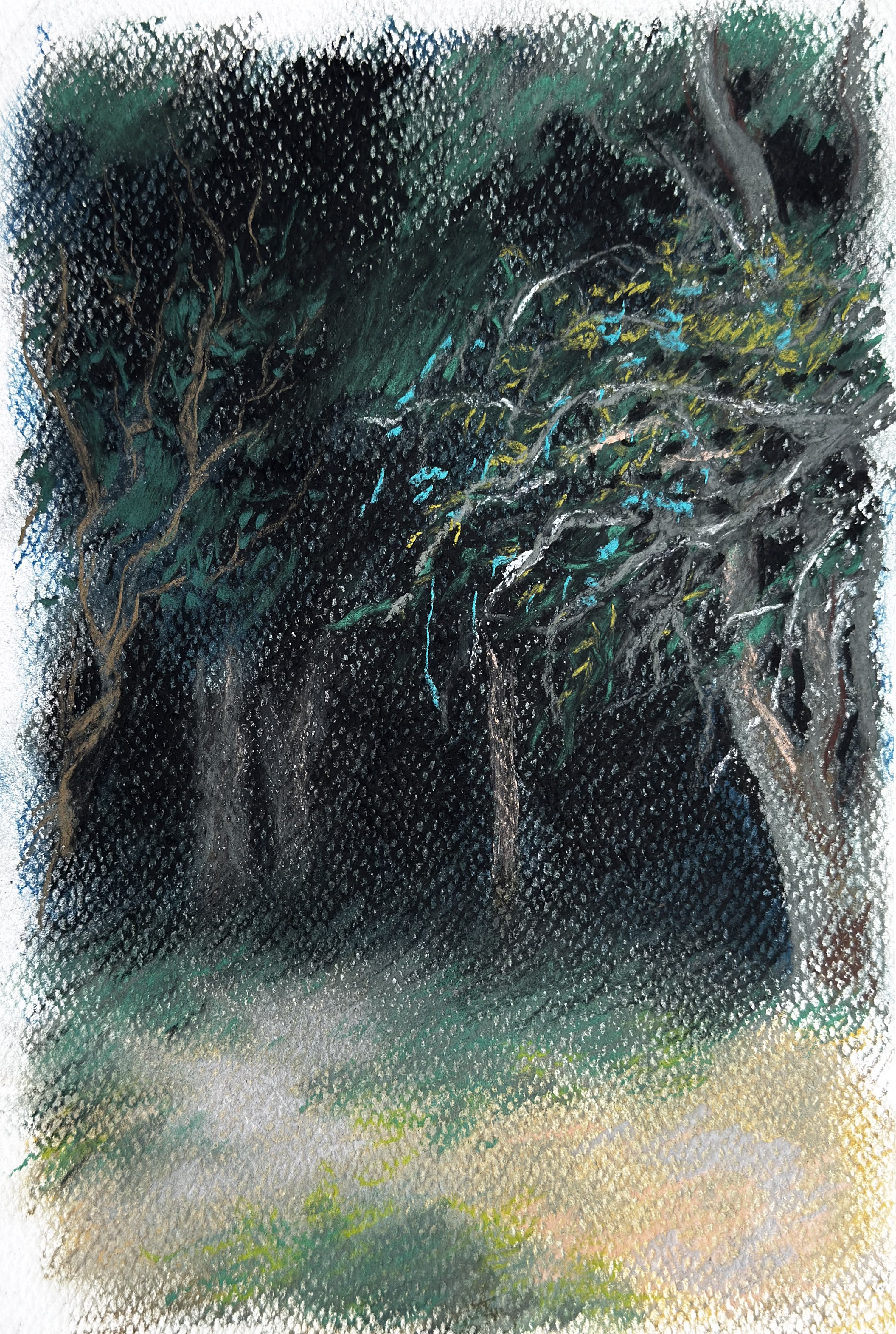 Untitled