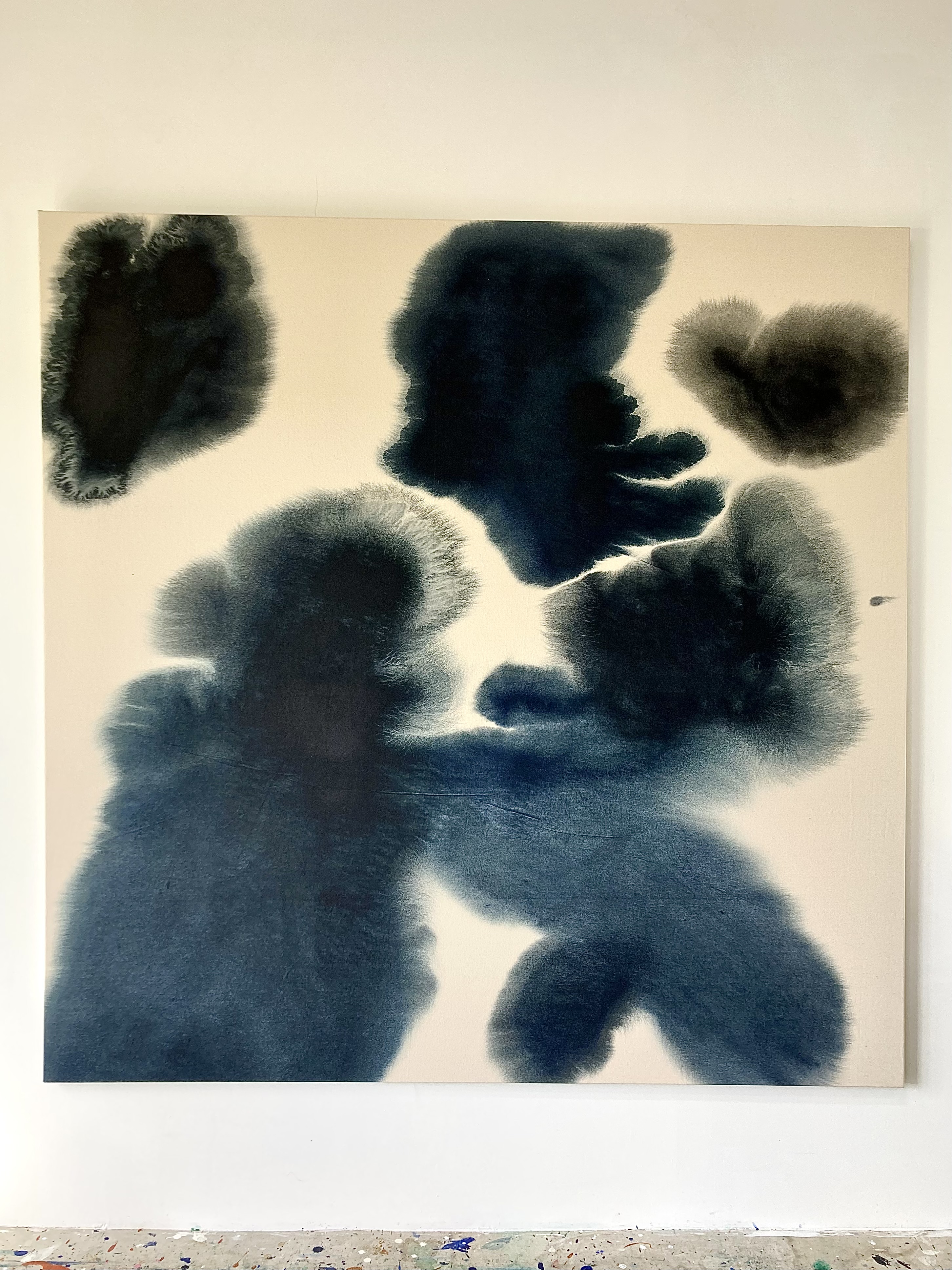 Black Prusse Raw II