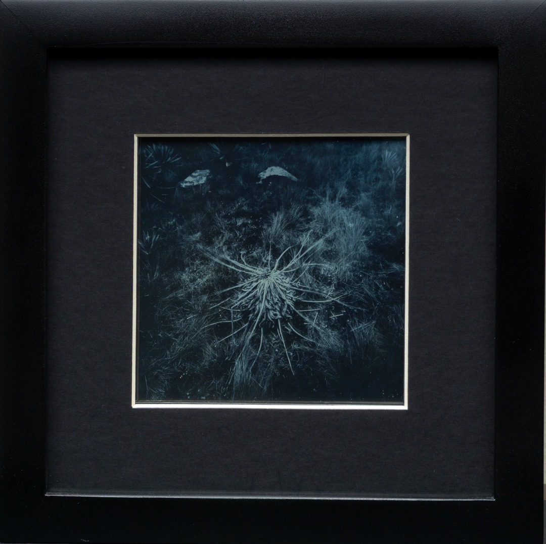 Silencio 05