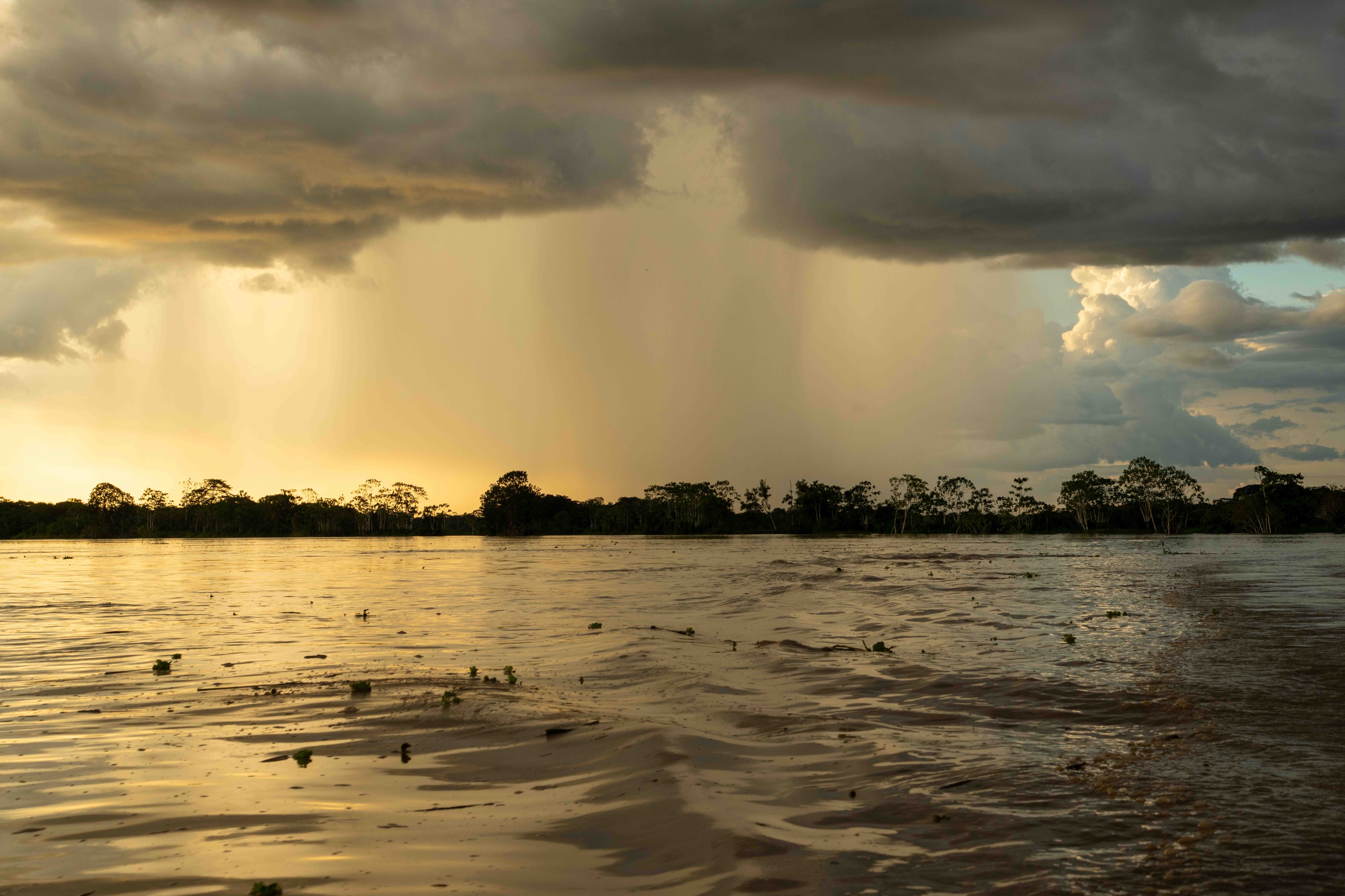 Lluvia de ríos voladores