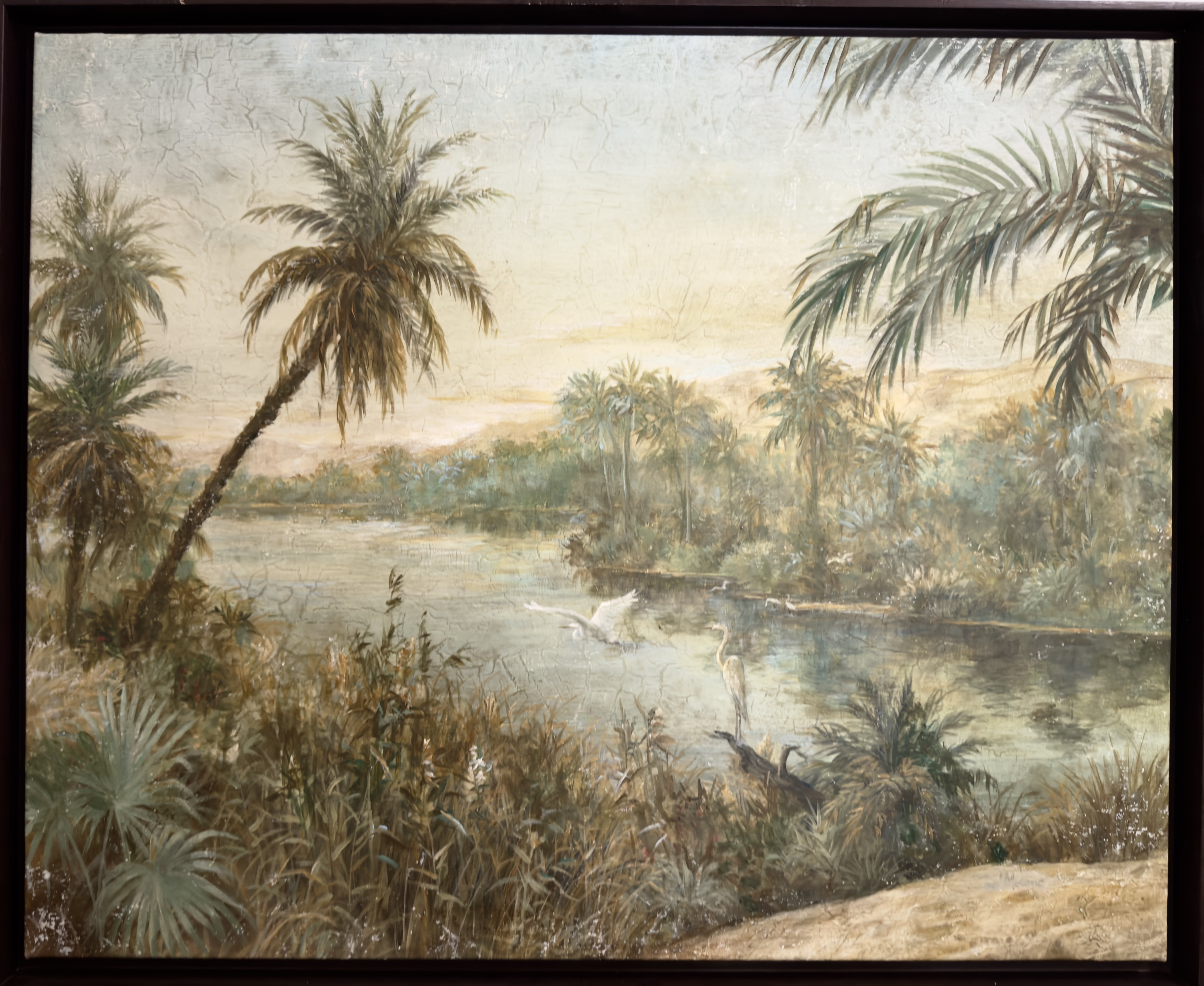 Oasis