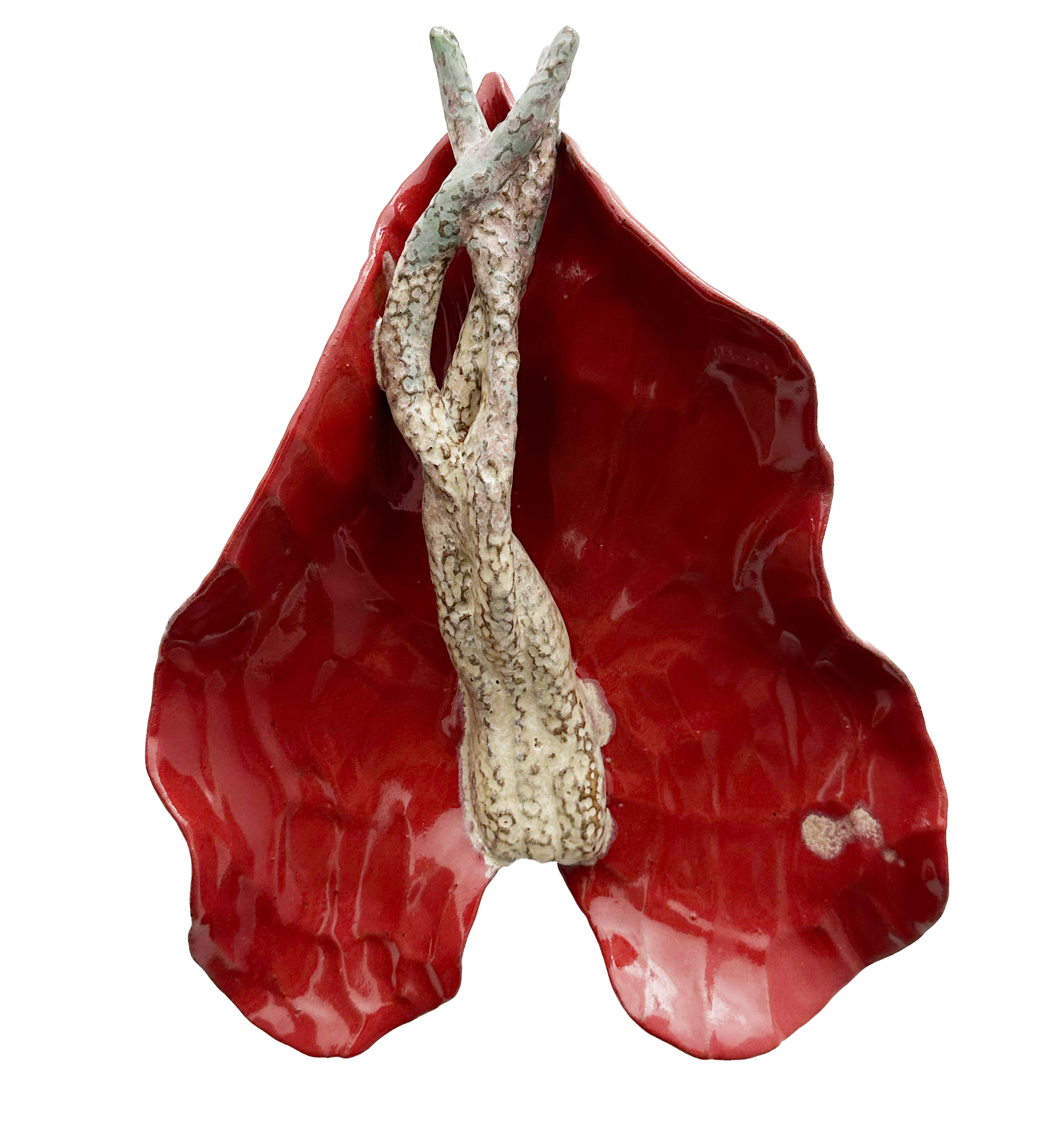 Anturio rojo