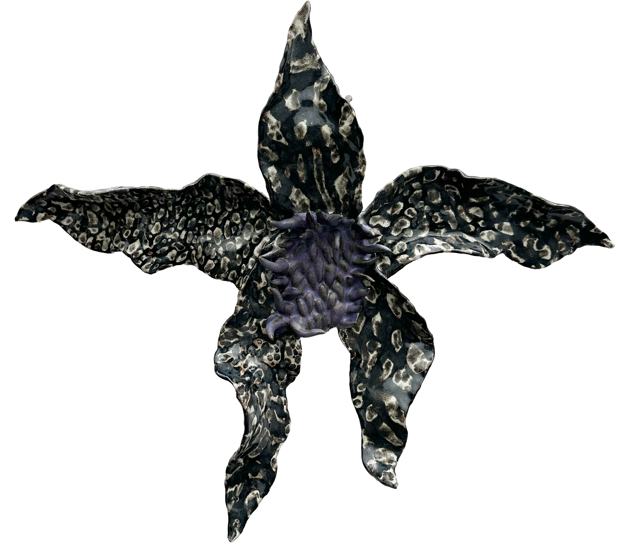 Orquídea