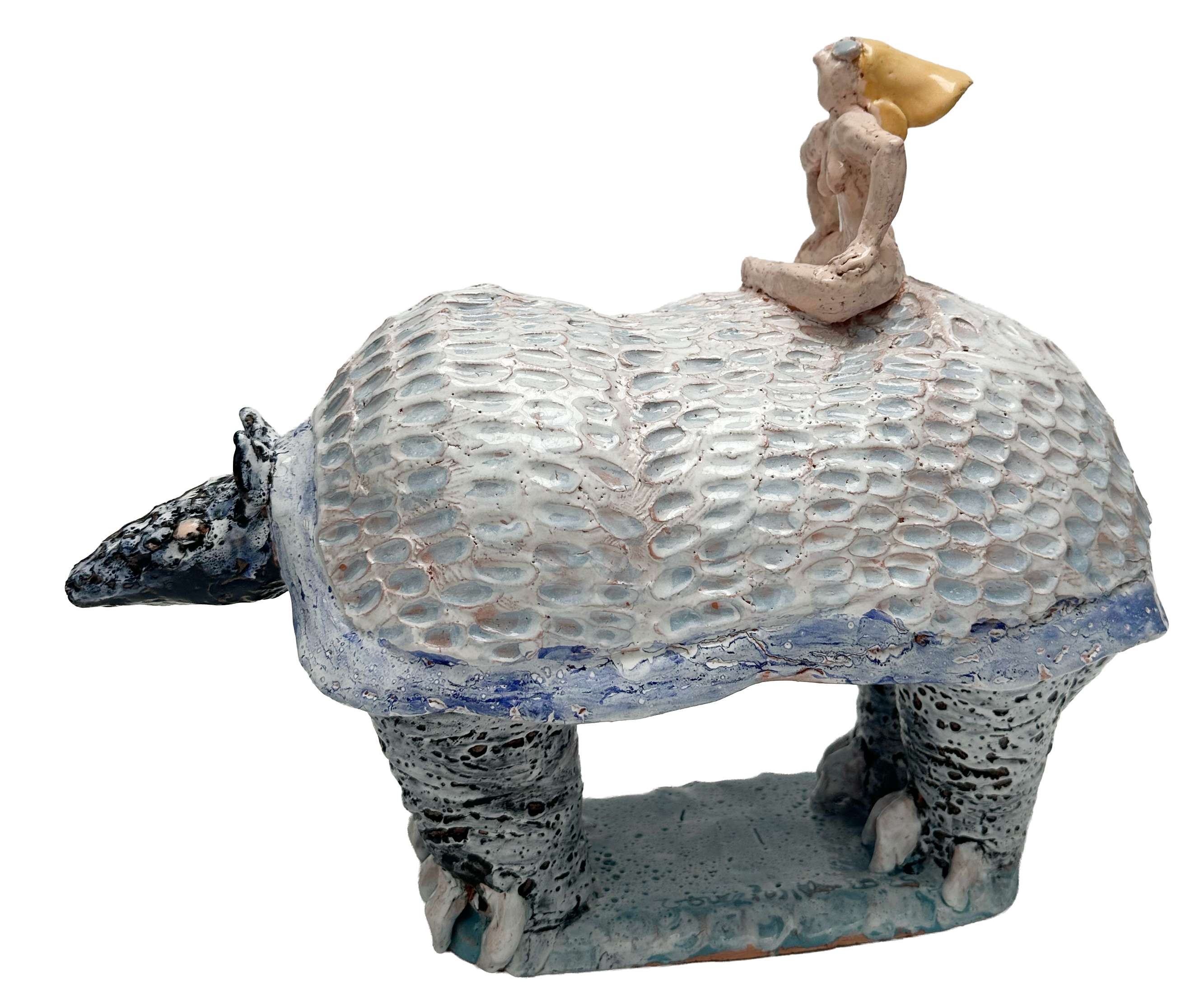 El viaje del armadillo II