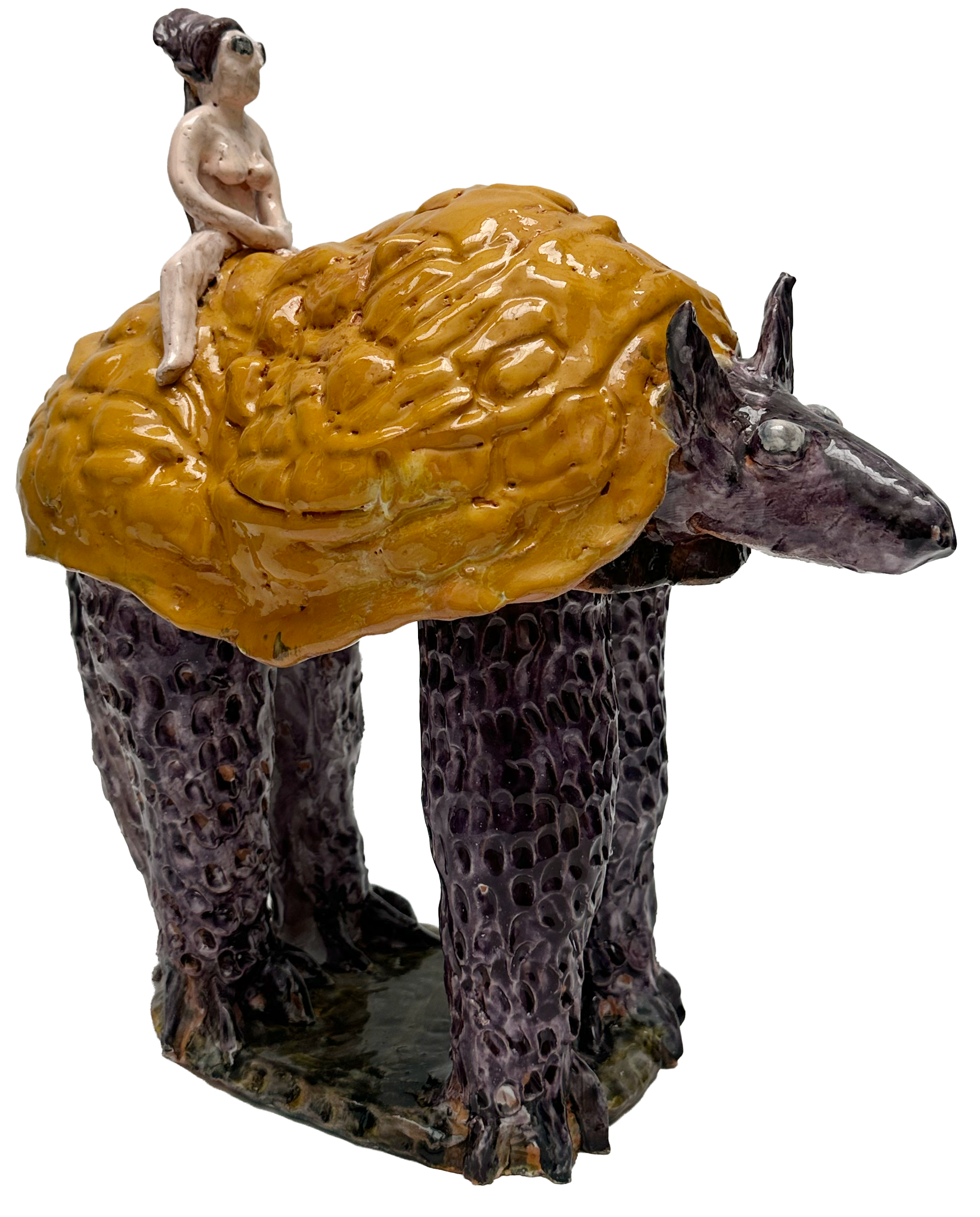 El viaje del armadillo IV