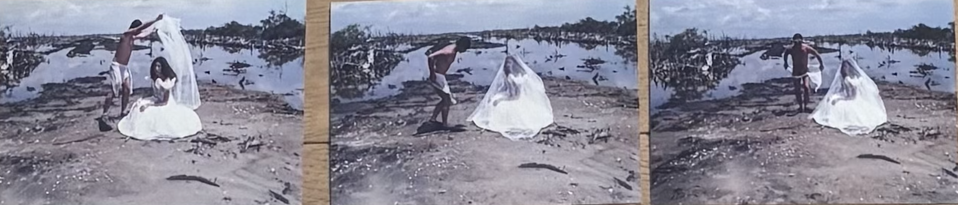 La novia del hombre rana: Paisaje polucionado, travestismo apocalíptico
