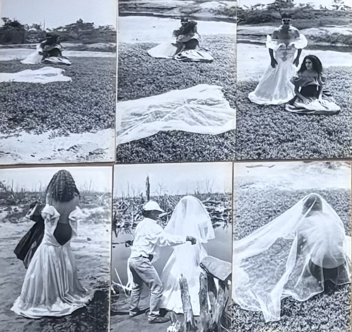 La novia del hombre rana: Paisaje polucionado, travestismo apocalíptico