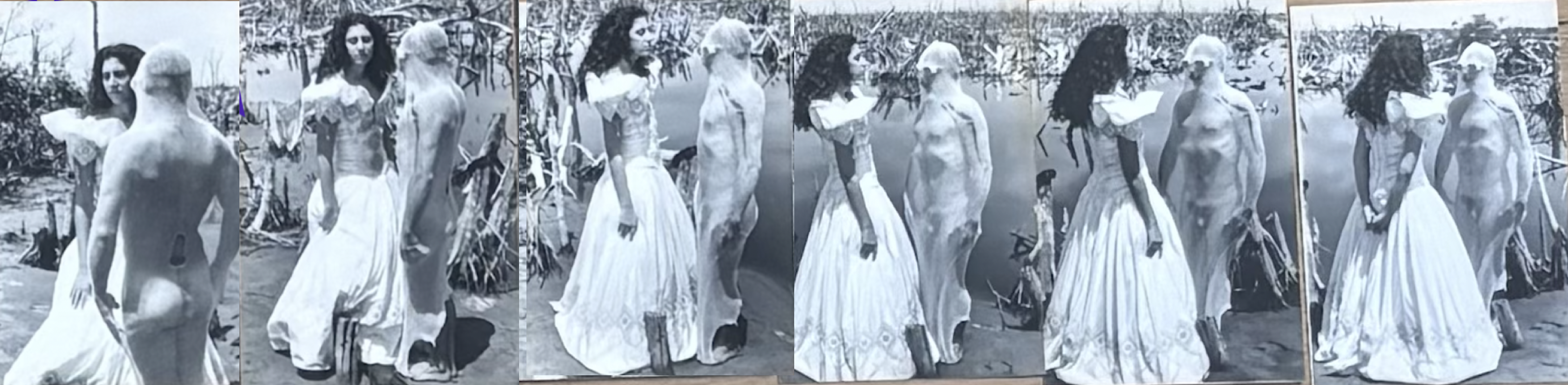 La novia del hombre rana: Paisaje polucionado, travestismo apocalíptico