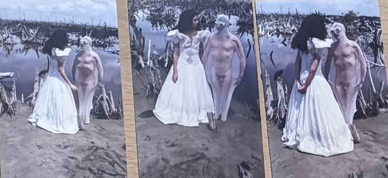La novia del hombre rana: Paisaje polucionado, travestismo apocalíptico